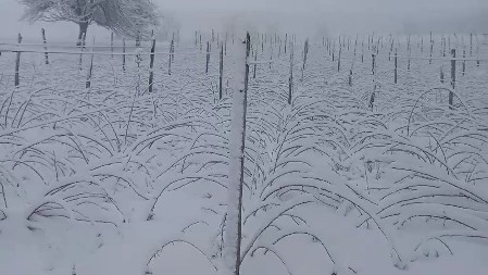 Sneg okovao Ivanjicu: Putevi prohodni ali ponovo manji problemi sa strujom 