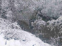 AUTO SA 4 ŽENE SLETEO SA PUTA U REKU: Izvlačili ih meštani i vatrogasci (FOTO)