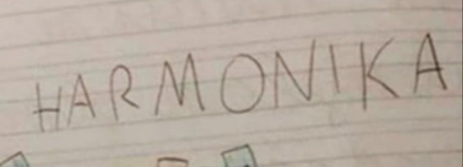 VIRALNI CRTEŽ OSNOVCA ODUŠEVIO REGION Kad je učiteljica videla ''dodatak'' na harmonici, hitno pozvala roditelje! (FOTO)