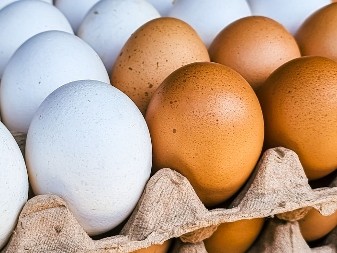 DA LI SU BOLJI PROTEINI BILJNOG ILI ŽIVOTINJSKOG POREKLA? Misterija je konačno rešena, saznajte i vi 