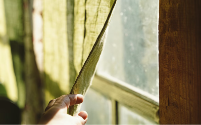 OSTALI SU U ŠOKU Turisti rezervisali sobu s pogledom na jezero, kad su pogledali kroz prozor NIJE IM BILO DOBRO (VIDEO)