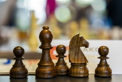 OGROMNA TUGA Preminuo slavni holandski šahista