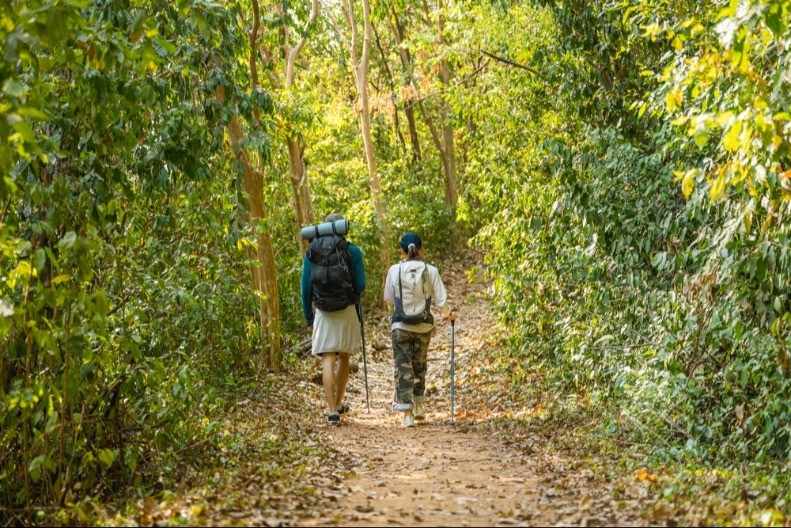 MISLILA JE DA ŠUMU U KOJOJ REDOVNO ŠETA POZNAJE KAO SVOJ DŽEP, A ONDA JE OTKRILA NEŠTO NEVEROVATNO "Ne mogu da verujem da to nisam videla ranije"