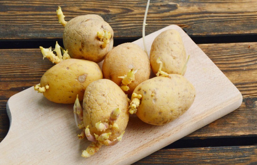 Krompir vam stalno proklija? Bakin trik rešava problem, biće odličan godinu dana!