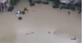 ''OVO JE POSTAO GRAD DUHOVA'' Evakuisano na hiljade ljudi (VIDEO) 