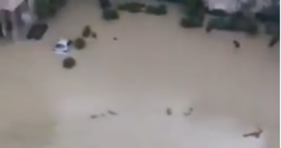 ''OVO JE POSTAO GRAD DUHOVA'' Evakuisano na hiljade ljudi (VIDEO) 