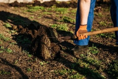 Krenite na vreme: Šta se seje u martu da bi vam bašta u maju bila puna plodova