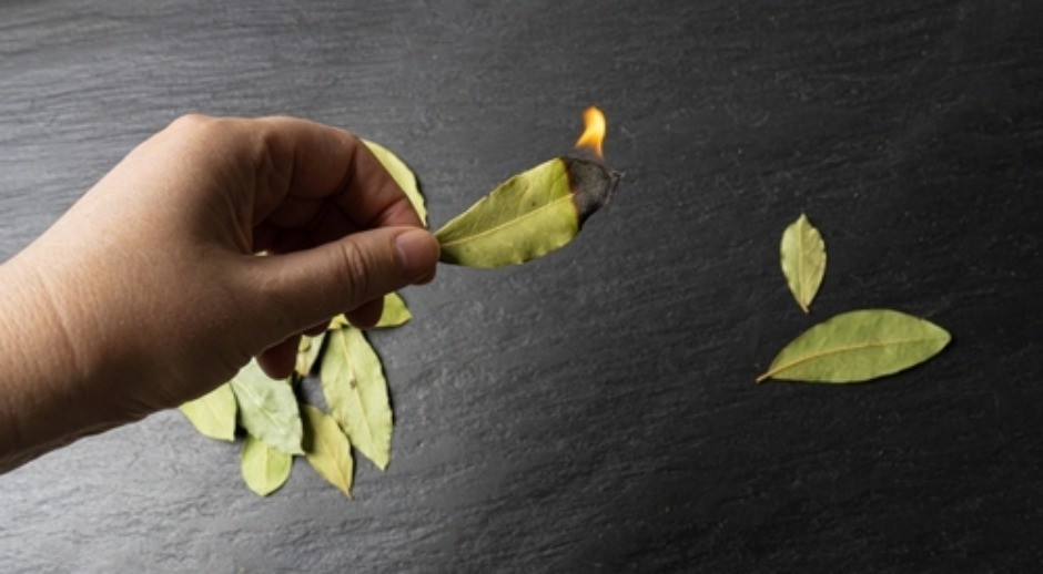 ZAPALI JEDAN LIST LOVORA I GLEDAJ ŠTA SE DEŠAVA Ljudi tvrde da se se sreća u kući menja