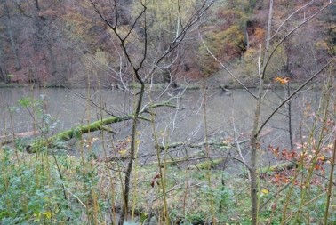 NESTAO 14. FEBRUARA Ronioci pronašli telo mladića (19) kome se izgubio svaki trag u Zrenjaninu