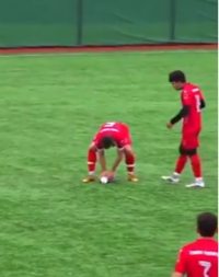 ŠOK NA FUDBALSKOJ UTAKMICI Fudbaler pogodio pticu loptom, a onda je uspeo nešto NEVEROVATNO - publika nije verovala svojim očima