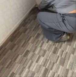 Podigla tepih, pa imala šta i da vidi, zgrožena: Samo što je ušla u novu kuću zgadio joj se život, evo šta je pronašla