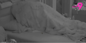 NIKAD ŽEŠĆA AKCIJA U ELITI Umalo krevet polomili, sve se trese! (VIDEO)