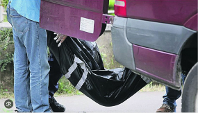 KAMIONOM U RIKVERC USMRTIO BAKU (80) Detalji tragedije u parku na Novom Beogradu