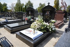 PEVAČICA NAKON GUBITKA BEBE STIGLA NA GODIŠNJI POMEN SAŠI Ne prestaje da plače