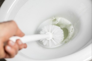 Obično stoji u fioci za lekove, a čisti WC šolju kao od šale: Kamenac spada za tili čas, otpada i onaj najtvrđi