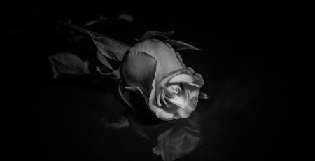 Ubijen poznati glumac (36) 