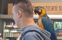 OVO JE BEOGRADSKI KRALJ ŠOPINGA Dobro kontroliše šta gazda kupuje