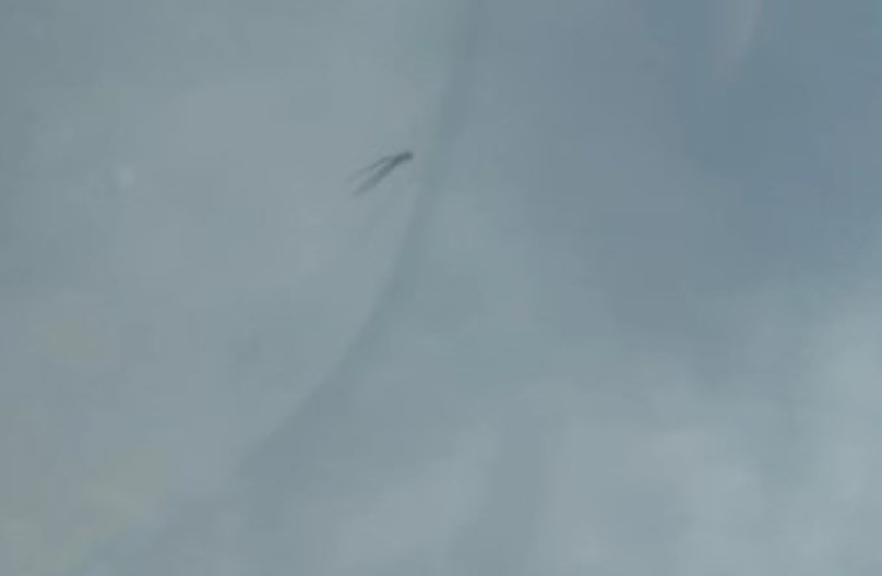 AU, ŠTA JE OVO MAJKO MILA? Misteriozna crna pojava na nebu napravila haos - internet gori od teorija! (FOTO)