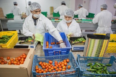 Nova pravila za strane radnike - koliko žele da rade u Hrvatskoj, podležu jednom uslovu