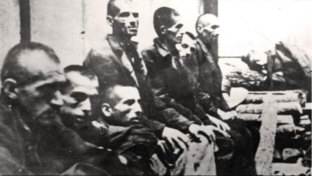 "VAŠKE GA IZJELE DO SMRTI, A KAD SU GA GROBARI VIDELI I USTAŠAMA SE ŽELUDAC" Izveštaj iz Jasenovca je da povratite