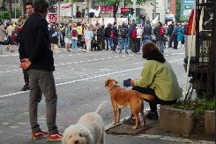 Zašto tako, srpski glumci?