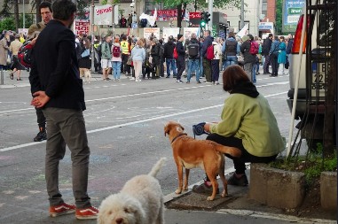 Zašto tako, srpski glumci?