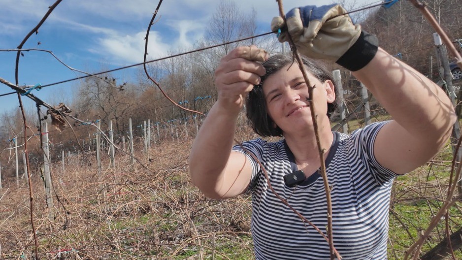 BAŠTA NE ČEKA MART Baka Rada kaže ko sad ne zasuče rukave, ostaće bez cveta i roda