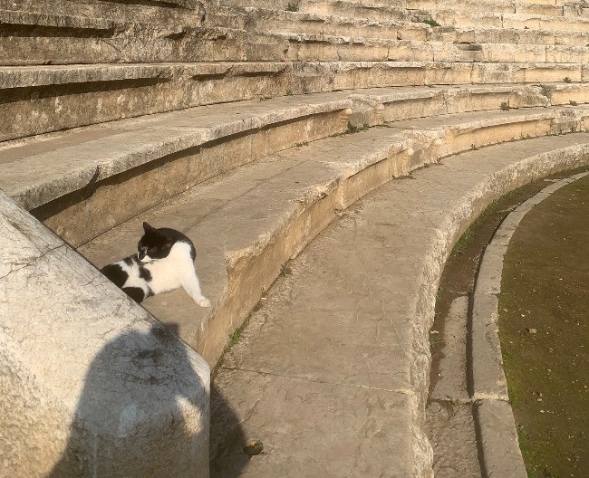 U TURSKOJ I MAČKE VOLE ANTIKU Sever Turske iz drugačijeg ugla