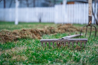 Travnjak neće biti lep ako ovo uradite: U februaru svi prave jednu grešku, vi je izbegnite
