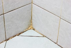 Ni soda bikarbona, a ni limun, samo ovo: Skida i buđ i kamenac u tuš kabini, odlično i za kadu, a košta nešto smešno