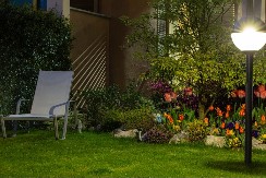 ZA MIRISNE PROLEĆNE VEČERI Zasadite ove biljke - opojno mirišu samo noću