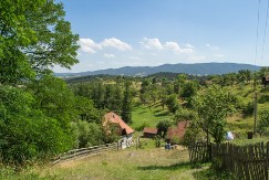 PROROČANSTVA TARABIĆA PONOVO U CENTRU PAŽNJE Da li se njihove vizije ostvaruju upravo sada?