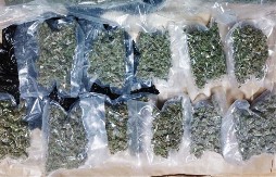  KOD VRANJA ZAPLENJENA DROGA U "golfu" prevotio preko tri kila marihuane