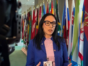 Žarić Kovačević u UN o podršci porodicama i demografskoj politici Srbije