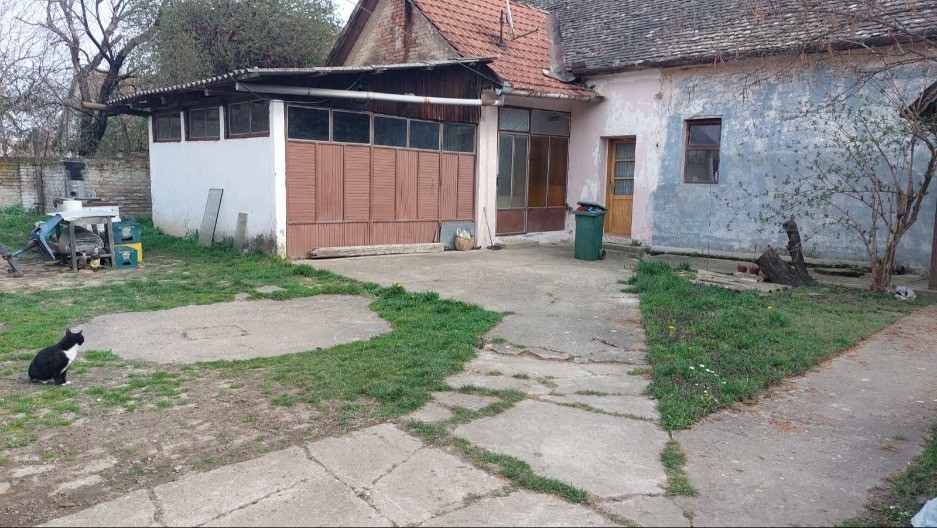 DEDA IZBO DVE STARICE NOŽEM Jednu polio benzinom da je spali! 