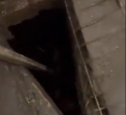 MISTERIJA KOJA JE ZGROZILA SVET Nestala devojka pronađena u septičkoj jami – policajac zanemeo kada je video šta je unutra!