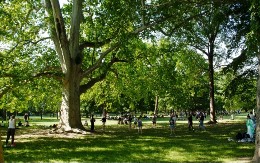 Država izdvojila 300 miliona dinara za navedenu namenu - evo ko može da se javi na konkurs 