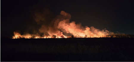 PRVE SLIKE VELIKOG POŽARA Zbog vatrene stihije Elektrodistribucija je isključila struju na dalekovodu
