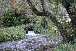  Vrelo izvire podno Tare i najkraća je reka u Evropi, evo koliko je dugačka 