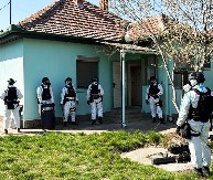 POLICIJA UPALA U NARKO-LABORATORIJU! Pronađeno 180 stabljika kanabisa i 12 kilograma marihuane, dvojica uhapšena