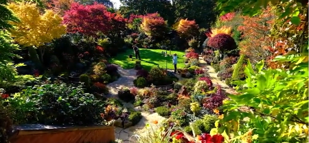 LJUDI IZ CELOG SVETA DOLAZE DA VIDE OVU BAŠTU Bračni par je razvija i neguje preko 40 godina - evo gde se nalazi