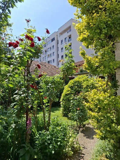 Kako urediti vrt u martu: Baštovanska pravila koja morate da uradite do kraja meseca