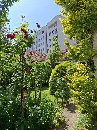 Kako urediti vrt u martu: Baštovanska pravila koja morate da uradite do kraja meseca