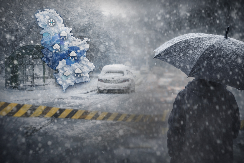 U OVIM DELOVIMA SRBIJE DANAS PADA SNEG Koga to zaobiđe, kiša neće!