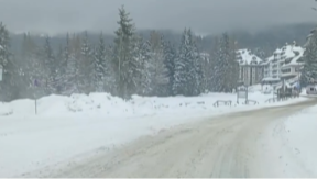 SRPSKE PLANINE ZAVEJANE, SAOBRAĆAJ OTEŽAN! Na ovom putnom pravcu drvo preseklo put (VIDEO) 