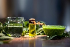 Prirodni antibiotik iz bočice: Ovo ulje uništava bakterije i gljivice, a mnogi ga već nose u torbi