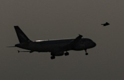 AVION IZ DOHE SLETEO U BEOGRAD! 250 državljana Srbije u svojoj zemlji