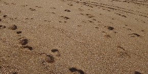 NA PLAŽI OTKRIVENI OTISCI STOPALA STARI 2000 GODINA Arheolozi su munjevito reagovali- evo šta su zaključili