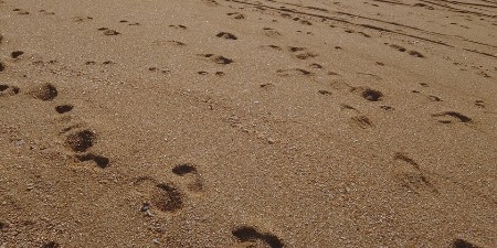 NA PLAŽI OTKRIVENI OTISCI STOPALA STARI 2000 GODINA Arheolozi su munjevito reagovali- evo šta su zaključili