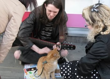 ŠOKANTNO I DIRLJIVO! Ulični mačak Bob spasio život bivšem zavisniku – priča koja je inspirisala milione! (VIDEO)